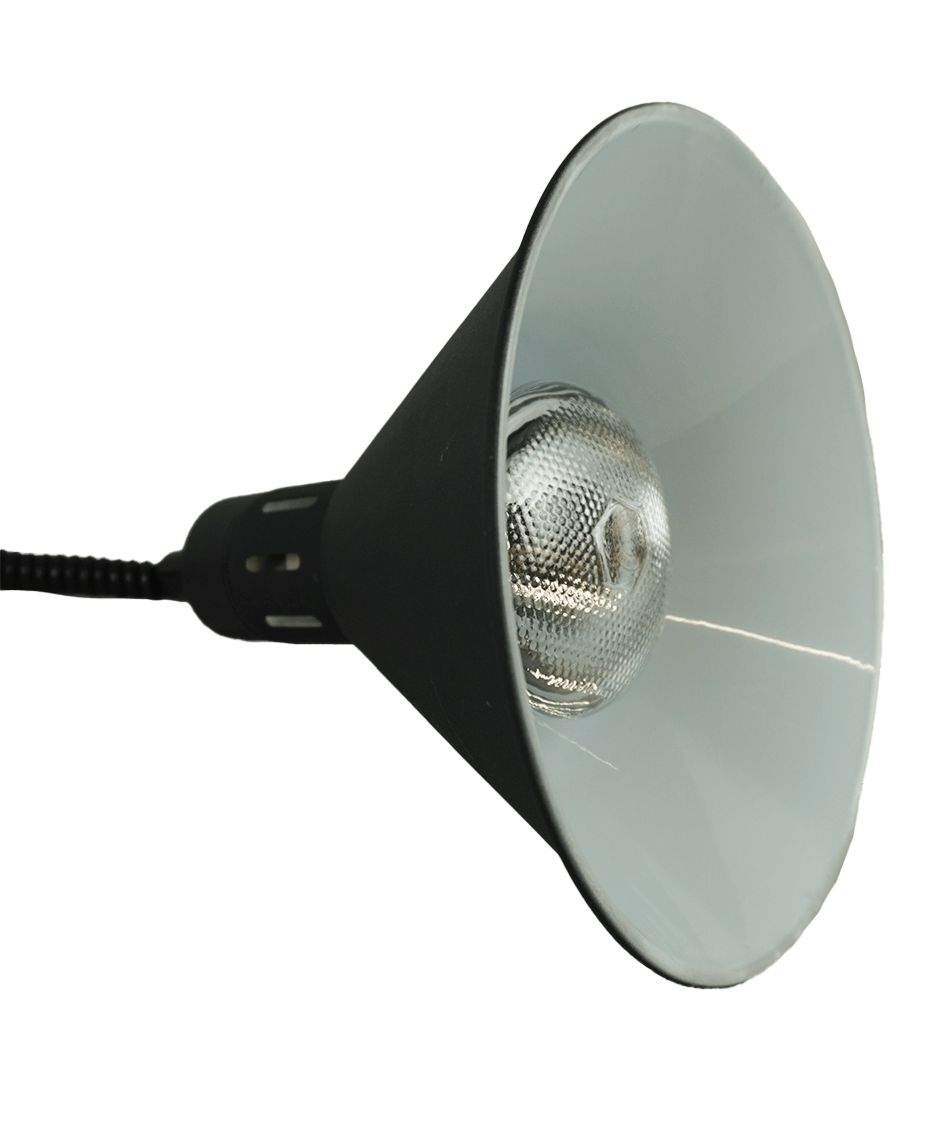 ASG-7455.1810 - Bild 6