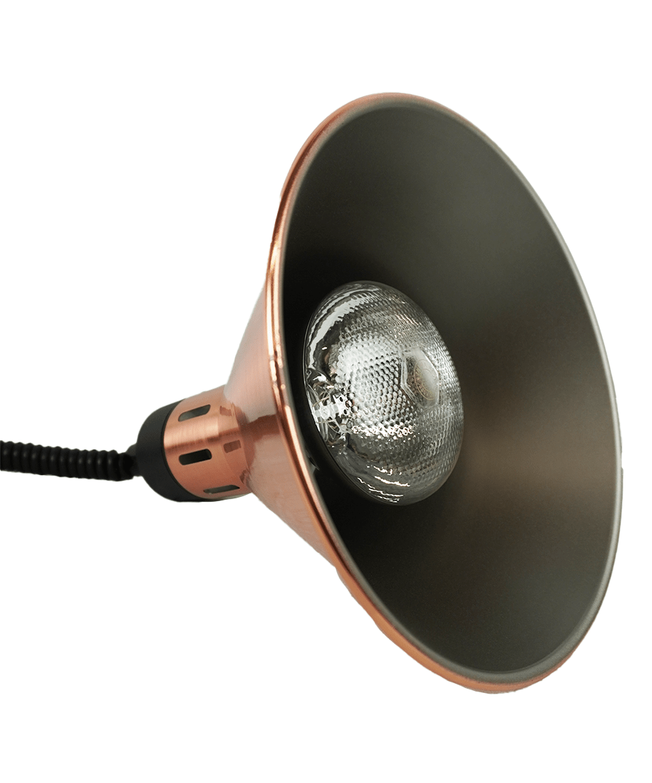 ASG-7455.1815 - Bild 4