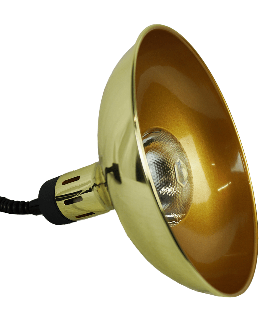 ASG-7455.1820 - Bild 5