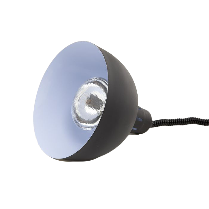ASG-7455.1825 - Bild 2