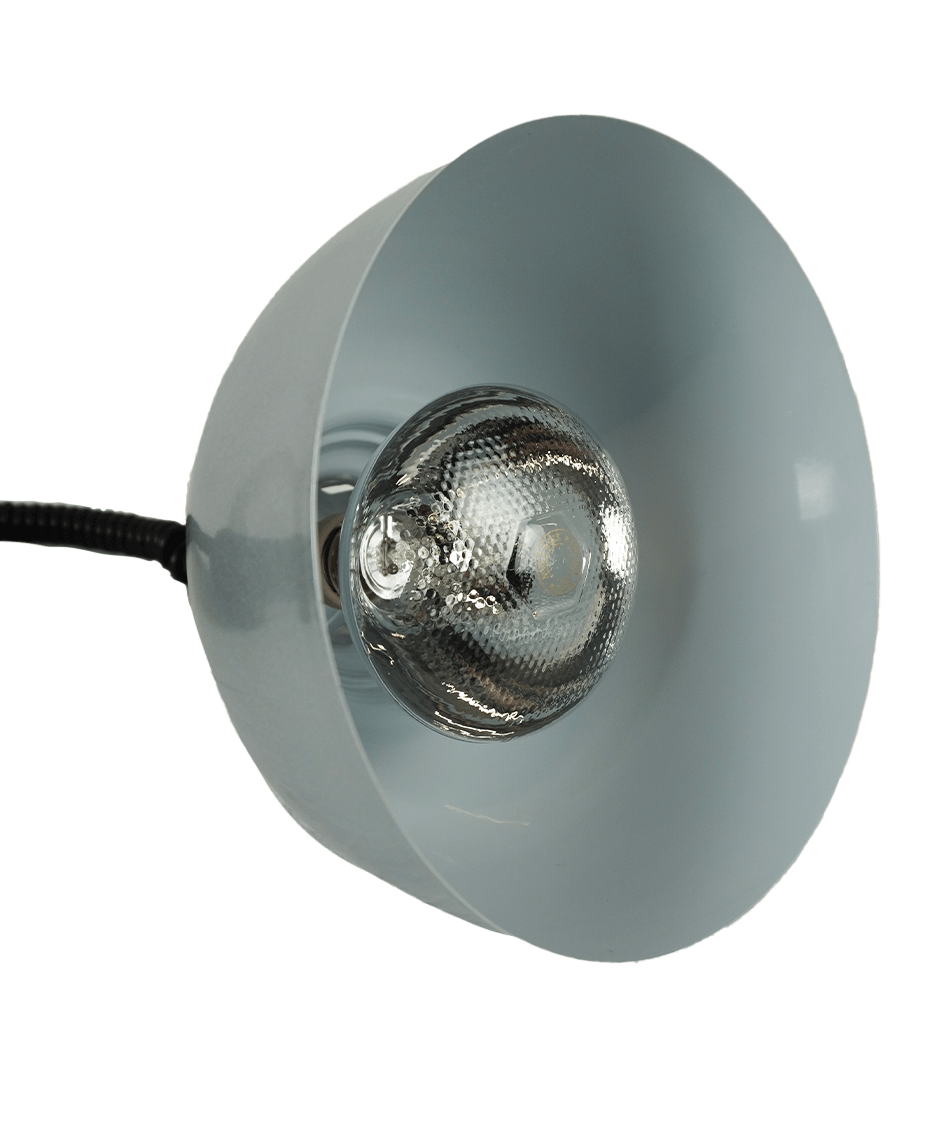 ASG-7455.1837 - Bild 9