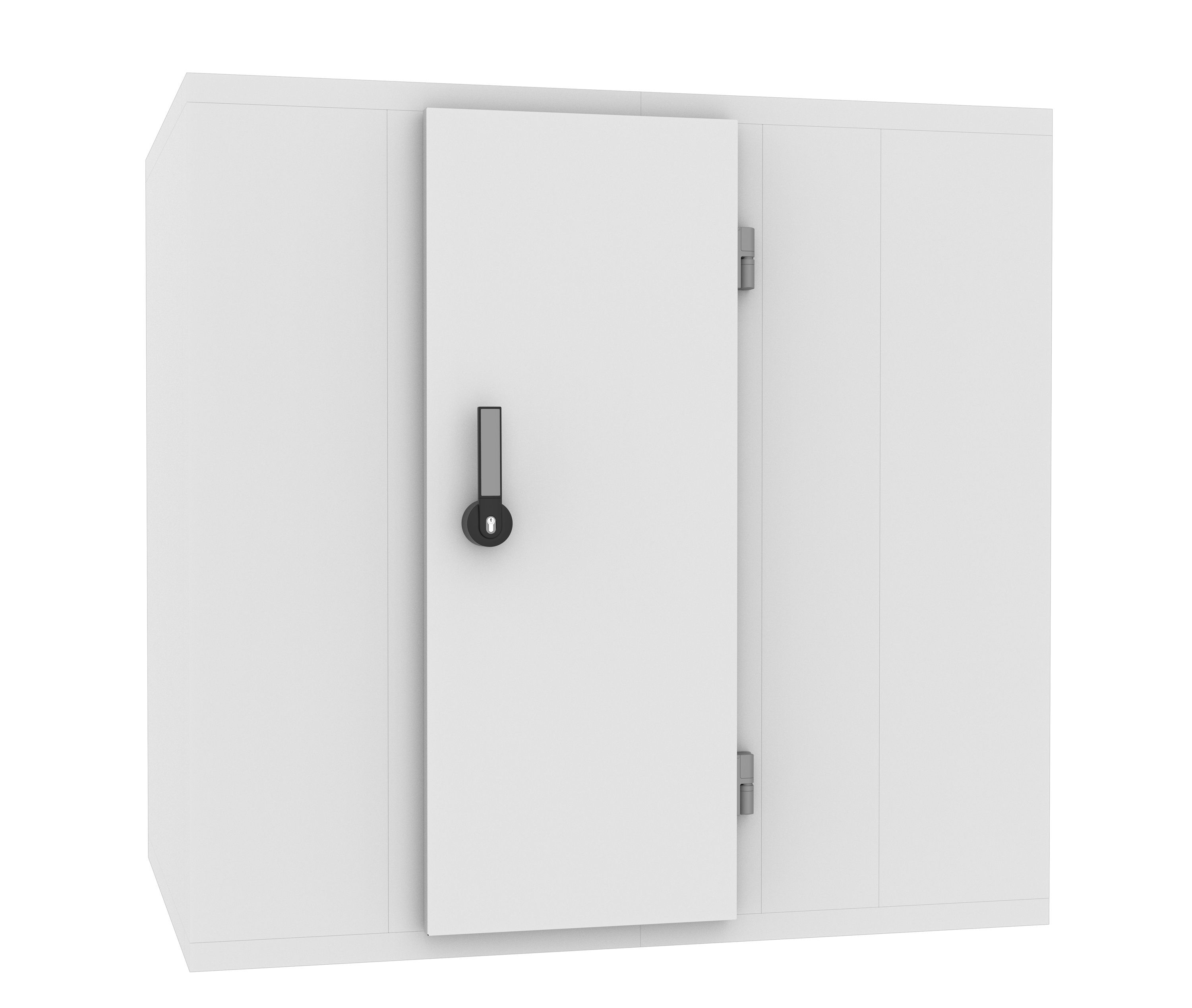 Kühl und Frierzell 2700x2400x2200 - 120 Mm*transport Auf Anfrage*